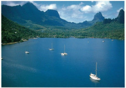 1 AK Moorea Island / Französisch Polynesien * Pao Pao Bay On Moorea Island - French Polynesia * - French Polynesia