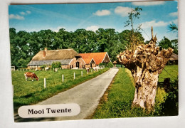 Mooi Twente - Sonstige & Ohne Zuordnung