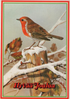 BIRD Animals Vintage Postcard CPSM #PAN018.GB - Oiseaux