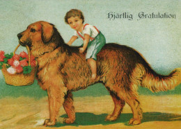 CHIEN Animaux Vintage Carte Postale CPSM #PBQ468.FR - Chiens