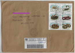 Brazil 2001 Registered Cover From São Miguel Do Oeste To Blumenau 6 Stamp Spider Scorpion Snake Fauna Animal Reptile - Lettres & Documents