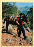 Corse : Rencontre Au Cœur De La Forêt Corse (animée, âne) (voir Scan Recto/verso) - Corse