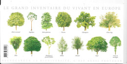 ARBRES DES FORÊTS  - Carte Double - Bomen