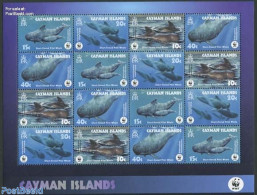 Cayman Islands 2003 WWF, Whales M/s, Mint NH, Nature - Sea Mammals - World Wildlife Fund (WWF) - Kaaiman Eilanden