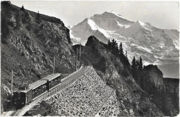 CPSM - Bergbahn INTERLAKEN - Schynige Platte Die Jungfrau - Interlaken