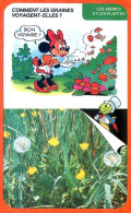 Disney Humour Comment Graines Volent ? Pissenlit  Fiche Illustrée Documentée Plantes Et Arbres - Autres & Non Classés