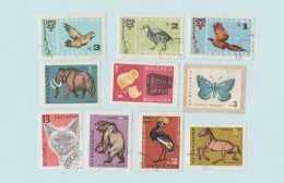 Bulgarie - Lot 22 Timbres Animaux - Oiseaux, Papillons, Chiens, Cheval, Chat, Ours, Poule, Cochon, Mouton, Insectes - Collections, Lots & Series