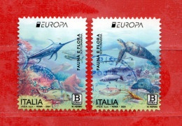 Italia °- 2024 -  EUROPA. 2 VALORI.  Usato. - 2021-...: Used