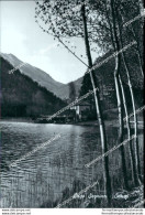 Cg454 Cartolina Lago Segrino Canzo Provincia Di Como Lombardia - Como