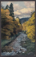 093635/ Paysage, Photochromie, Ed Nenke & Ostermann, Série 130, N° 2537 - Fotografie