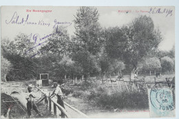 Cpa 1905 En Bourgogne MALIGNY Yonne La Vanne - MAY14 - Autres & Non Classés