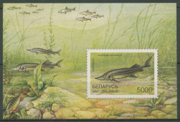 Weißrussland 1997 Tiere Fische Sterlet Block 15 Postfrisch (C96671) - Belarus