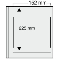 Safe Variant Ergänzungsblätter Transparent Nr. 863 (5er Pack) Neu ( - Otros & Sin Clasificación