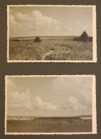Lot De 2 CP. Paysages. Agfa. Mat. - To Identify