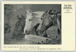 10012641 - Tiere-Pferde-sonstige Pferde An Der Traenke, - Caballos