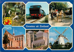 Netherlands Zeeland Train Windmill - Andere & Zonder Classificatie