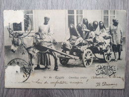 EGYPTE OMNIBUS ARABE - 10147 - Autres & Non Classés