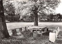 77-FONTAINEBLEAU-LA FORET-N°2840-C/0307 - Fontainebleau