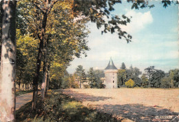 42-ROANNE-CHÂTEAU DE BOISY-N°2842-C/0149 - Roanne