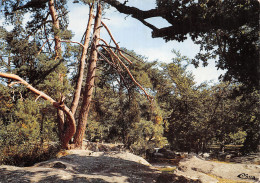 77-FONTAINEBLEAU-LA FORET-N°2846-C/0179 - Fontainebleau