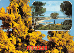 06-ANTIBES-N°2846-C/0159 - Autres & Non Classés