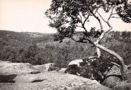 77-FONTAINEBLEAU-LA FORET-N°2849-C/0317 - Fontainebleau