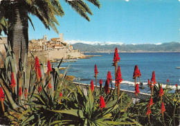 06-ANTIBES-N°2850-D/0321 - Autres & Non Classés