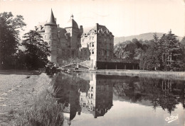 38-VIZILLE-LE CHÂTEAU-N°2853-D/0263 - Vizille