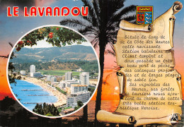 83-LE LAVANDOU-N°2857-D/0343 - Le Lavandou