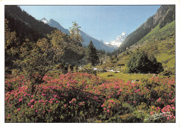 65-CAUTERETS-N°2863-A/0255 - Cauterets