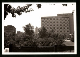 Fotografie Unbekannter Fotograf, Ansicht Berlin, Hilton-Hotel Vom Zoologischen Garten Gesehen  - Places