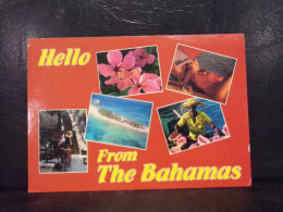 539 . HELLO FROM THE BAHAMAS . - Bahama's