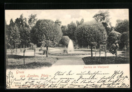 AK Landau /Pfalz, Parthie Im Westpark  - Landau