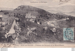 13-73) AIX LES BAINS (SAVOIE) PLATEAU DU REVARD - (  ANIMÉE - PÂTRE ET VACHES - 1902 - 2 SCANS ) - Aix Les Bains