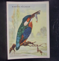 587 .  VIEUX PAPIER . COLLECTION BISCOTTES CLEMENT . MARTIN PECHEUR . OISEAU - Otros & Sin Clasificación