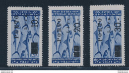 1946 Istria E Litorale Sloveno, Occupazione Jugoslava, Segnatasse, 3 Alti Valori, Cifre Sottili, Certificato Raybaudi, M - Otros & Sin Clasificación