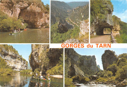 48-LES GORGES DU TARN-N°4022-A/0143 - Autres & Non Classés