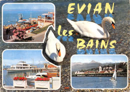 74-EVIAN LES BAINS-N°4022-D/0339 - Evian-les-Bains