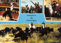 13-CAMARGUE-N°4023-C/0101 - Sonstige & Ohne Zuordnung