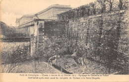 60-COMPIEGNE-LA FORET-CHASSE A COURRE-N 6013-F/0263 - Compiegne