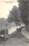 60-CHANTILLY-ETANGS DE COMELLE-N 6014-B/0333 - Chantilly