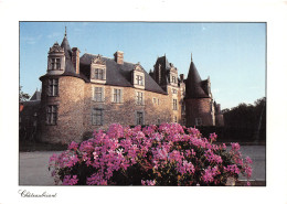 44-CHATEAUBRIANT-N°4024-C/0379 - Châteaubriant