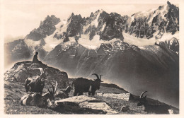 74-CHAMONIX-N°4029-H/0081 - Chamonix-Mont-Blanc