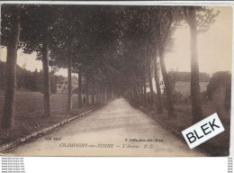 89 . Yonne .  Champigny   Sur Yonne  : L ' Avenue . - Champigny