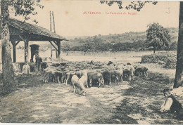 63 // AUVERGNE   La Fontaine Du Berger / Troupeau - Andere & Zonder Classificatie