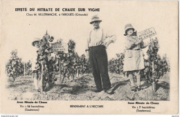 33) FARGUES (GIRONDE) EFFETS DU NITRATE DE CHAUX SUR LA VIGNE DE M. VILLEFRANCHE - VINS DE SAUTERNES - (2 SCANS) - Sonstige & Ohne Zuordnung