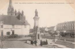 56) SAINTE ANNE D ' AURAY - VUE GENERALE DE LA FONTAINE MIRACULEUSE - LA PISCINE - (ANIMEE - 2 SCANS) - Auray