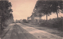 Kapellen - Cappellen -  Heidestrrat - Kapellen