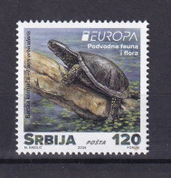 SERBIA 2024,EUROPA CEPT,UNDERWATER FLORA AND FAUNA, TURTLES,MNH - 2024