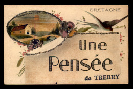 22 - TREBY - UNE PENSEE - CARTE ILLUSTREE - PAILLETTES - Sonstige & Ohne Zuordnung